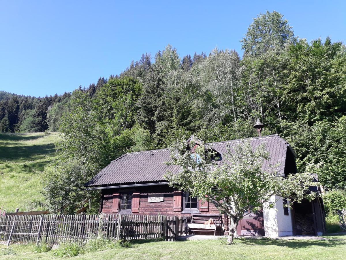Villa Umundumhütte Katsch an der Mur Exterior foto