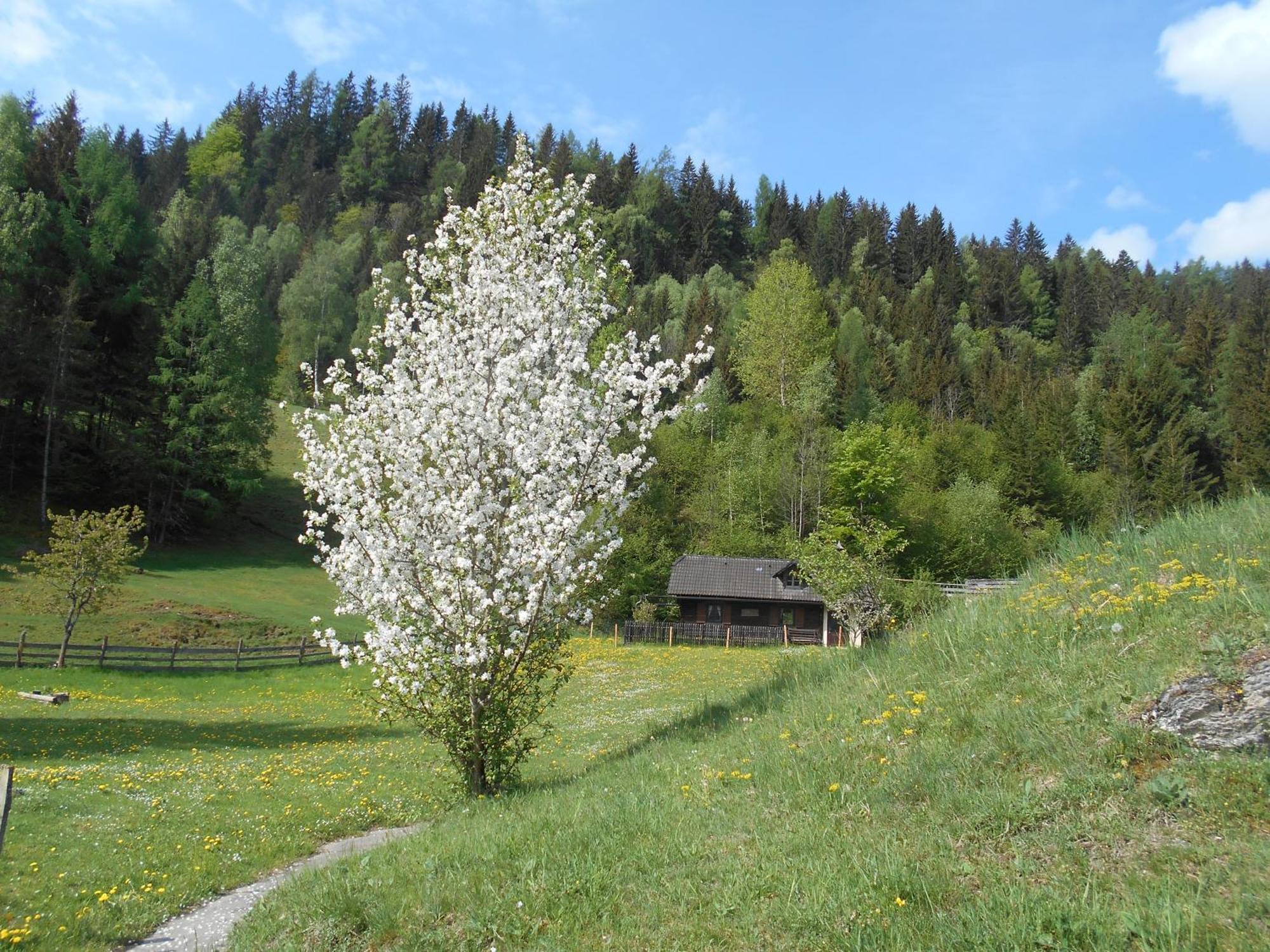 Villa Umundumhütte Katsch an der Mur Exterior foto