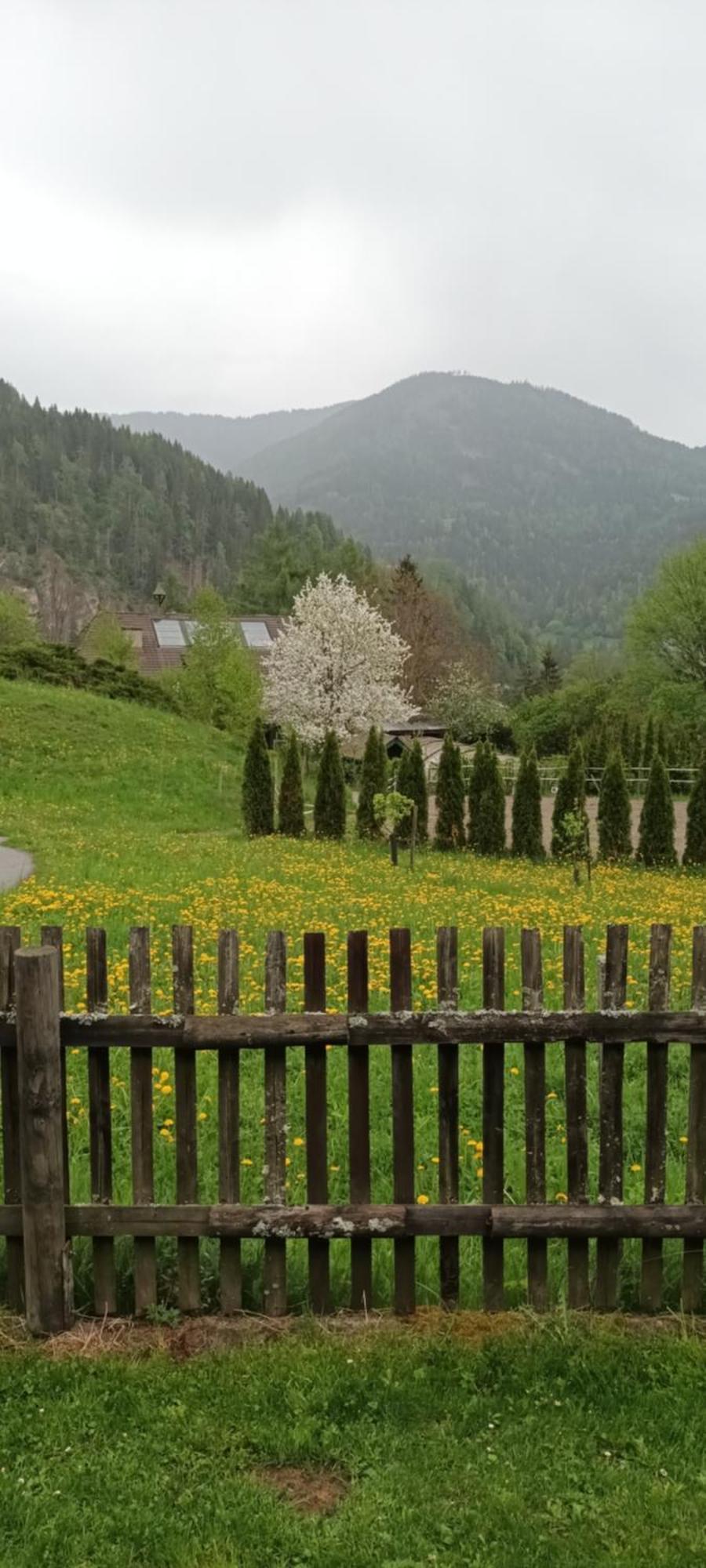 Villa Umundumhütte Katsch an der Mur Exterior foto