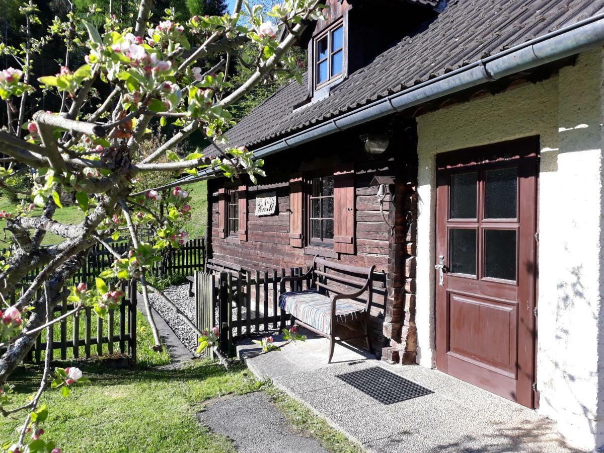 Villa Umundumhütte Katsch an der Mur Exterior foto
